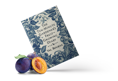 The Ten Minute Gardener's Fruit Growing Diary image #1