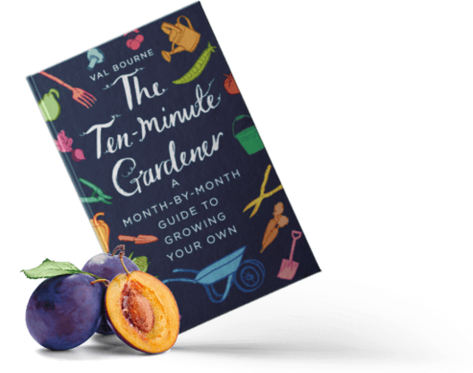 The Ten-Minute Gardener: A month-by-month guide to growing your own