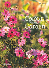 Colour in the Garden