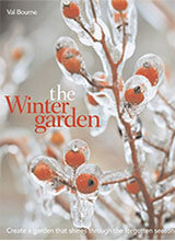 The Winter Garden